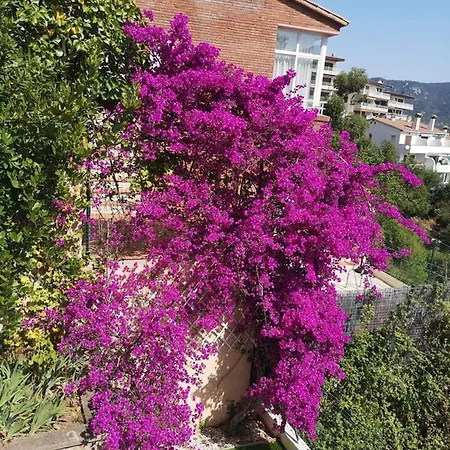 4 Bedrooms With Sea View Private Pool And Enclosed Garden At Hotel