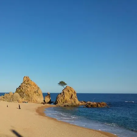 4 Bedrooms With Sea View Private Pool And Enclosed Garden At Hotel Tossa de Mar